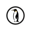 penguin Royalty Free Stock Photo