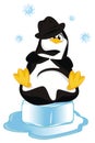 Penguin in black hat Royalty Free Stock Photo