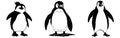 Penguin . Black and white graphics. Logo design for use in graphics.