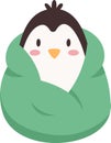 Penguin In Blanket