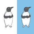 Penguin character vector illustration drawing cute animal polar birds funny sea life color white and black Antarctica penguins