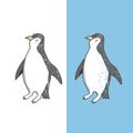 Penguin character vector illustration drawing geometric cute animal polar birds funny sea life color white and black Antarctica