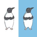 Penguin character vector illustration drawing geometric cute animal polar birds funny sea life color white and black Antarctica pe