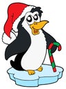 Penguin in Christmas cap Royalty Free Stock Photo