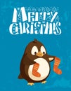 Penguin with Christmas Socks, Winter Holiday Card