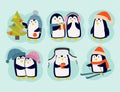 Penguin christmas vector illustration character cartoon funny cute animal antarctica polar beak pole winter bird. Royalty Free Stock Photo