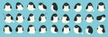 Penguin Collection 1 Royalty Free Stock Photo