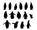 Penguin Collection. Realistic polar animal silhouette set