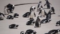 Penguin colony blackfooted in South Africa boulders beach natural habitat tourist attraction Royalty Free Stock Photo