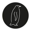 Penguin color line illustration. Marine mammals. Royalty Free Stock Photo