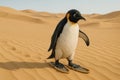 Penguin in the desert in sandals. Space for text. Royalty Free Stock Photo