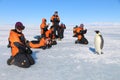 Penguin encounter in Antarctica