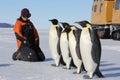 Penguin encounter in Antarctica Royalty Free Stock Photo