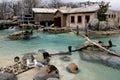 Penguin exhibit with natural habitat and educational center, Baltimore Zoo, Maryland, March, 2015