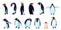 Penguin family, black Antarctica animals in different poses. Realistic white arctic baby and parents, ice bird set