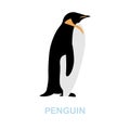 Penguin flat icon. Colored element sign from wild animals collection. Flat Penguin icon sign for web design Royalty Free Stock Photo