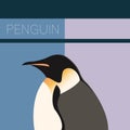 Penguin flat postcard