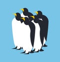 Penguin flock. Animal north pole. Bird Antarctica and Arctic