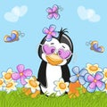 Penguin with flowers Royalty Free Stock Photo