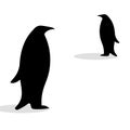 Penguin friendship symbol loyalty