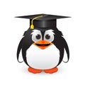 Penguin with graduation cap Royalty Free Stock Photo