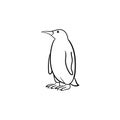 Penguin hand drawn sketch icon.