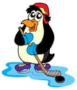 Penguin hockey player