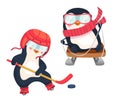 penguin hockey player and penguin on sled