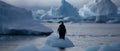 Penguin on ice floe, Antarctic Peninsula, Antarctica.