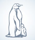 Penguin on the ice. Vector drawing Royalty Free Stock Photo