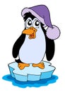 Penguin on iceberg vector illustration