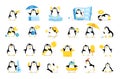 Penguin icon pack for your store. Mascot cartoon vector illustration.