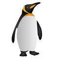 Penguin icon, penguin icon penguin vector
