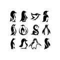 Penguin icon. Penguin symbol design from Animals collection Royalty Free Stock Photo