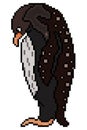 A penguin icon,pixel art.Concept ,web design for print. Royalty Free Stock Photo