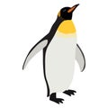 1493 penguin, images of a penguin, isolated on a white background, vector illustration