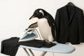 Penguin ironing a suit before a date. Royalty Free Stock Photo