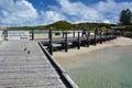 Penguin island jetty. Shoalwater islands marine park. Rockingham. Western Australia