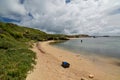 Penguin island. Shoalwater islands marine park. Rockingham. Western Australia