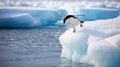 Penguin jumping off the water from ice berg