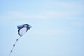 Penguin kite flying at old abandoned Tempelhofer Feld in Tempelhof Berlin Germany Royalty Free Stock Photo