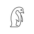 Penguin line icon