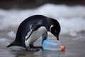 A penguin looks at an plastic bottle. ocean plastic protect. Plastic Free July AI generation