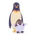 penguin mother with baby