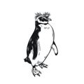 Penguin outline icon