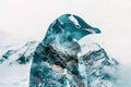 A penguin overlaid with an icy Antarctic landscape in a double exposure