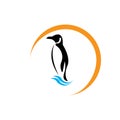 penguin Royalty Free Stock Photo