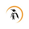 penguin Royalty Free Stock Photo