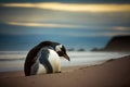penguin resting on the beach. ai generative