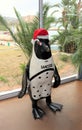 Penguin with Santa Hat Royalty Free Stock Photo